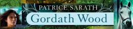 banner ad